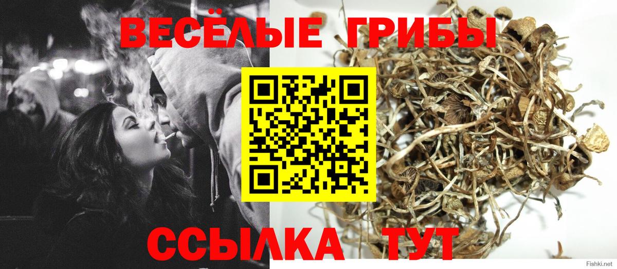 Галлюциногенные грибы GOLDEN TEACHER  Вход с VPN  Новочебоксарск 